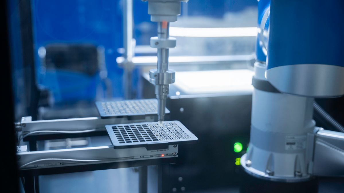 ky开元国际最新动态与行业趋势解读